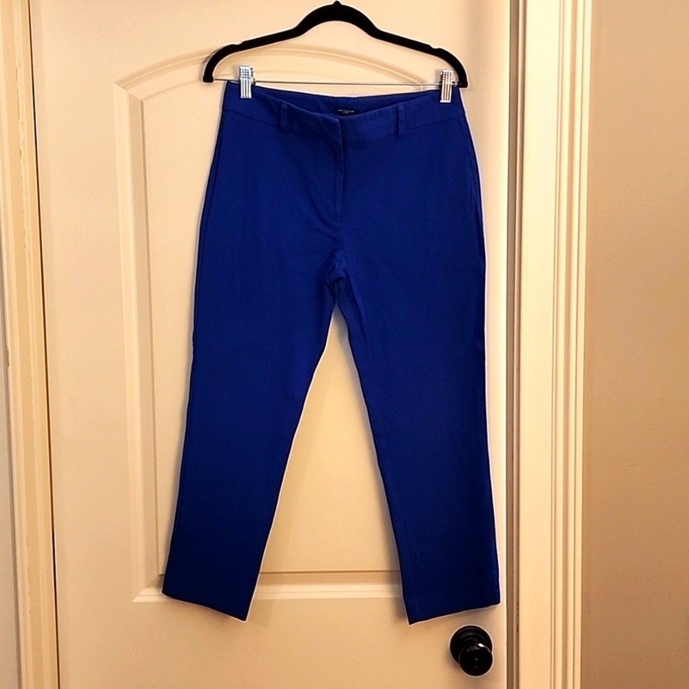 Ann Taylor Petite Pants